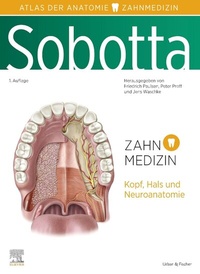 Abbildung von: Sobotta Atlas der Anatomie für Zahnmedizin - Urban & Fischer