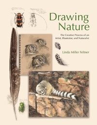Abbildung von: Drawing Nature - Princeton University Press