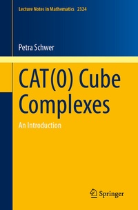 Abbildung von: CAT(0) Cube Complexes - Springer