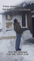 Bild: Cross-examination: The Diversion Techniques (2023, #1) - Forester