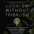 Cover: Judaism Without Tribalism - Tantor Audio
