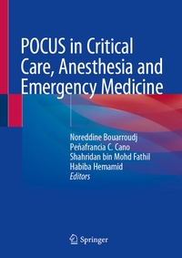 Abbildung von: POCUS in Critical Care, Anesthesia and Emergency Medicine - Springer