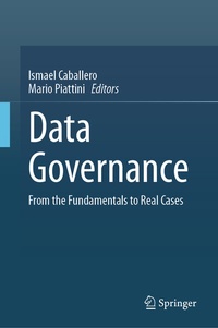 Abbildung von: Data Governance - Springer