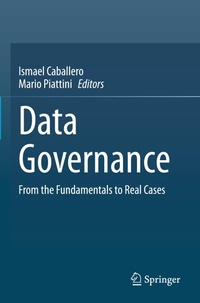 Abbildung von: Data Governance - Springer