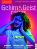 Cover: Gehirn&Geist Dossier - Schmerz - Spektrum der Wissenschaft