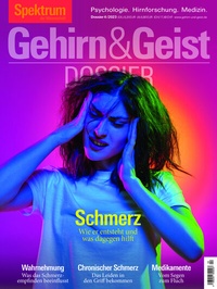 Abbildung von: Gehirn&Geist Dossier - Schmerz - Spektrum der Wissenschaft