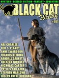 Cover: Black Cat Weekly #101 - Wildside Press