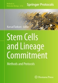 Abbildung von: Stem Cells and Lineage Commitment - Springer