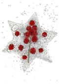 Cover: Weihnachtspostkarten-Set "Fotokunst trifft Weihnachten" FROZEN - Westkreuz
