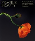 Cover: Fragile Beauty - V & A Publishing