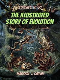 Abbildung von: The Illustrated Story of Evolution - OTB eBook publishing