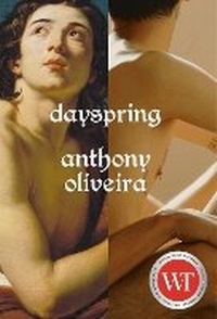 Enlarge image Cover: Dayspring - Strange Light