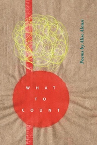 Abbildung von: What to Count - Wayne State University Press