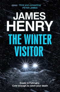 Enlarge image Cover: The Winter Visitor - riverrun