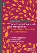 Cover: Socio-Economic Approach to Management - Palgrave Macmillan