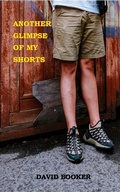 Cover: Another Glimpse Of My Shorts - David Booker