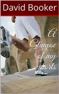 Cover: A Glimpse of My Shorts - David Booker
