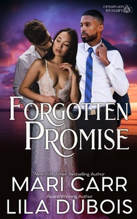 Enlarge image Cover: Forgotten Promise (Trinity Masters: Crossroads Contempt, #1) - Mari Carr Books LLC