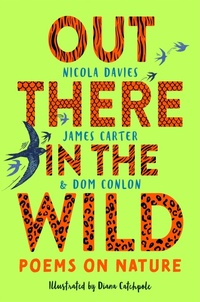 Abbildung von: Out There in the Wild - Macmillan Children's Books