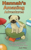 Cover: Hannah's Amazing Adventures - Dorrance Publishing Co.