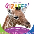 Cover: Hello Baby Giraffe! - Sleeping Bear Press