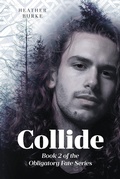 Cover: Collide - Page Publishing, Inc.