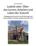 Cover: Ludwik oder: &Uuml;ber das Lernen, Arbeiten und Leben der Zukunft - BoD - Books on Demand