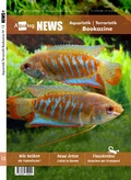 Cover: News Bookazine Nr.: 13 (Herbst 2023) - A.C.S.