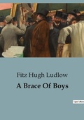 Cover: A Brace Of Boys - Culturea