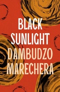 Cover: Black Sunlight - Apollo