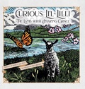 Cover: Curious Li'l Lilli - IngramSpark