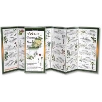 Enlarge image Cover: Common Weeds of the Mid-Atlantic - Earth Sky + Water