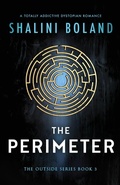 Cover: The Perimeter - Bookouture