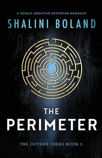 Enlarge image Cover: The Perimeter - Bookouture