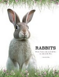Abbildung von: Rabbits - Amber Books