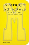 Cover: A Strange Adventure - Sternberg Press