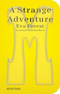 Enlarge image Cover: A Strange Adventure - Sternberg Press