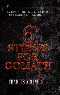 Abbildung von: 6 Stones for Goliath - Palmetto Publishing