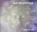 Cover: Just Wondering - Smilite Limited