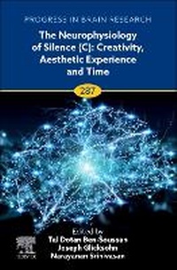 Abbildung von: The Neurophysiology of Silence (C): Creativity, Aesthetic Experience and Time: Volume 287 - Academic Press