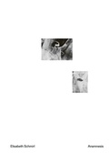 Cover: Anamnesis - Artbook Verlag
