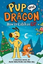 Cover: How to Catch Graphic Novels: How to Catch an Elf - Sourcebooks Wonderland