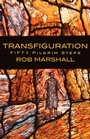 Cover: Transfiguration - Canterbury Press Norwich