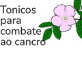 Cover: T&ocirc;nicos para combate ao Cancro - silvia palma
