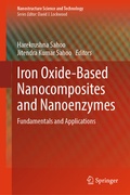 Cover: Iron Oxide-Based Nanocomposites and Nanoenzymes - Springer
