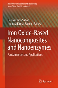 Abbildung von: Iron Oxide-Based Nanocomposites and Nanoenzymes - Springer