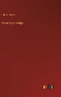 Cover: Notes Upon Indigo - Outlook Verlag
