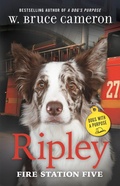 Cover: Ripley: Fire Station Five - Odd Dot