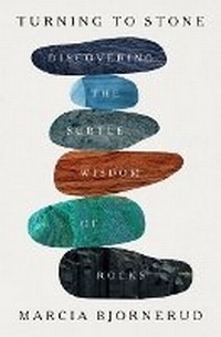 Enlarge image Cover: Turning to Stone - Flatiron Books