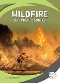 Enlarge image Cover: Wildfire Survival Stories - Child's World, Inc. Momentum